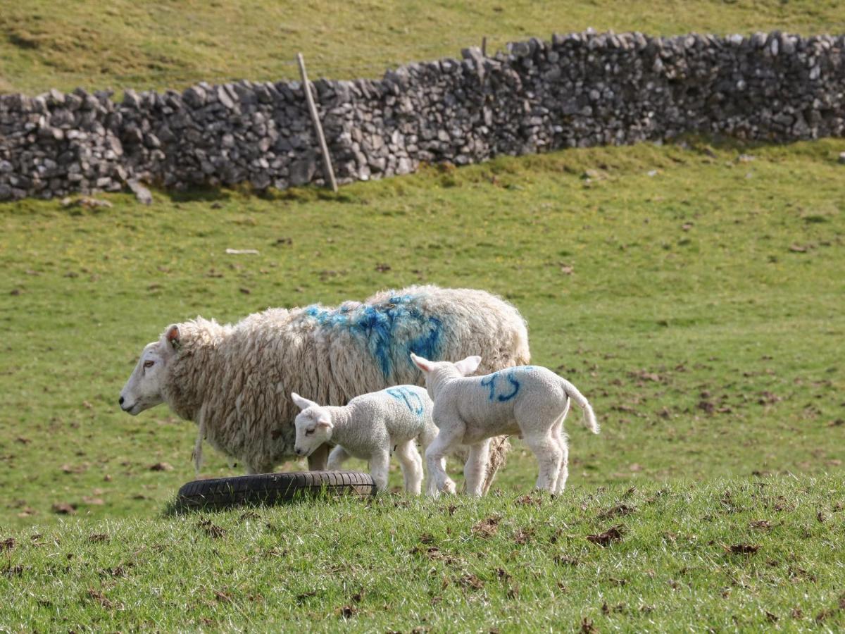 Shepherds Retreat Ashbourne  Dış mekan fotoğraf